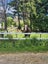 Horse grazing Carousel 3