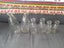 LABOUR WEEKEND SALE Old Type Milk Bottles 2 of each, 150ml, 300ml and 600ml Carousel 1