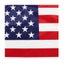 American Flag USA Carousel 7