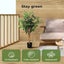 Lambu 90cm Artificial Ficus Tree Tropical Fake Plants Green Natural Wood Trunk Carousel 3