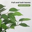 Lambu 90cm Artificial Ficus Tree Tropical Fake Plants Green Natural Wood Trunk Carousel 5