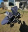 Silver cross tandem pram with bassinet Carousel 5