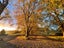 gallery view thumbnail