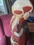 1945 large vintage anatomy model Carousel 7