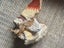 1945 large vintage anatomy model Carousel 12