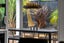 gallery view thumbnail