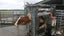 Veehof Dairy Services ltd Carousel 2