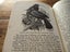 RARE BOOK !!!!! UREWERA NATIONAL PARK 1968 Edition Carousel 2