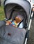 Silver Cross Wave Single-to-Double Pram Carousel 4