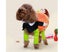 Funny Pumpkin Cosplay Pet Costume - Orange Carousel 3