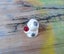 ***Tiny Treasures*** Cutie cat with red glass ball. Carousel 2