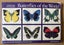 Brooke Bond picture card albums - wildlife related Carousel 4