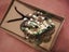 Large Abalone Paua Pendant - Celtic Design - #AB1 Carousel 8