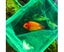 Aquarium accessories fish tank fish fishing net round square fish fishing Carousel 3