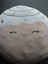 Cinnamon bun squishmallow Carousel 1