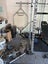 Power Lifting Equipment Bulk Lot Carousel 3