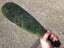 Translucent Kawakawa Pounamu Mere "16 inches" WOW Carousel 3