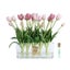 Cote Noire Tulip Arrangement w / Oval Vase & Gold Crest Mixed Pink Carousel 1