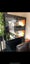 Bearded dragon terrarium x1 Carousel 5