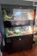 Bearded dragon terrarium x1 Carousel 7