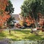 gallery view thumbnail