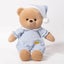 Teddy Bear in PJ's - Blue Carousel 1