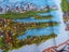 Vintage 50s Kiwiana Tablecloth Birds Flora & City Images MINT Carousel 5