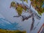 Vintage 50s Kiwiana Tablecloth Birds Flora & City Images MINT Carousel 8