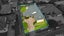 gallery view thumbnail