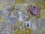 Bulk Assorted Jewellery - All Brand New Carousel 1