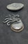 Ammonite fossil brooch Carousel 4