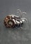 Ammonite fossil brooch Carousel 2