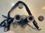 Eschenbach Binoculars Trophy AS/D 8x32 B Carousel 3