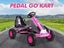 Kids Go Kart Carousel 2
