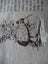 Maori Wisdom Linen Vintage Teatowel MINT Carousel 2