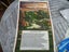 Australian Sunrise BEEEEAUTITUL! Teatowel MINT Carousel 1