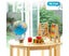 23cm Illuminated World Globe , Educational Globe with Stand for Kids Carousel 4