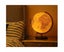 25CM World Globe Antique Desktop Globe Rotating Earth Geography Globe With LE Carousel 6