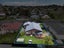 gallery view thumbnail