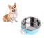 Stainless Steel Pet Cage Hanging Bowl Food Water Feeder Carousel 1