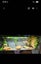 Bearded Dragon Terrarium Background Carousel 3