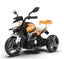 Children Electric Kids Ride On Motorbike Carousel 1