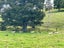 A Charming, Character filled 3.9 ha - (9.8 acres)