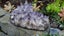 Crystal Business for Sale – Bulk Stock & Ready-to- Carousel 7