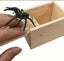 Wooden Prank Trick Practical Joke Home Office Scare Toy Box Gag Spider EE208 Carousel 2
