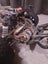 Traxxas slash 2wd Carousel 5