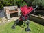 Baby Jogger City Versa model Pram and Bassinet Carousel 2