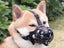 Dog Muzzle, Muzzle for Dog, Silicone Dog Muzzle with Adjustable Straps, Pet Muzz Carousel 5