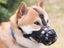 Dog Muzzle, Muzzle for Dog, Silicone Dog Muzzle with Adjustable Straps, Pet Muzz Carousel 7