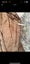 Eddie Bauer Premium Goose Down Puffer Vest XS Brown Carousel 3